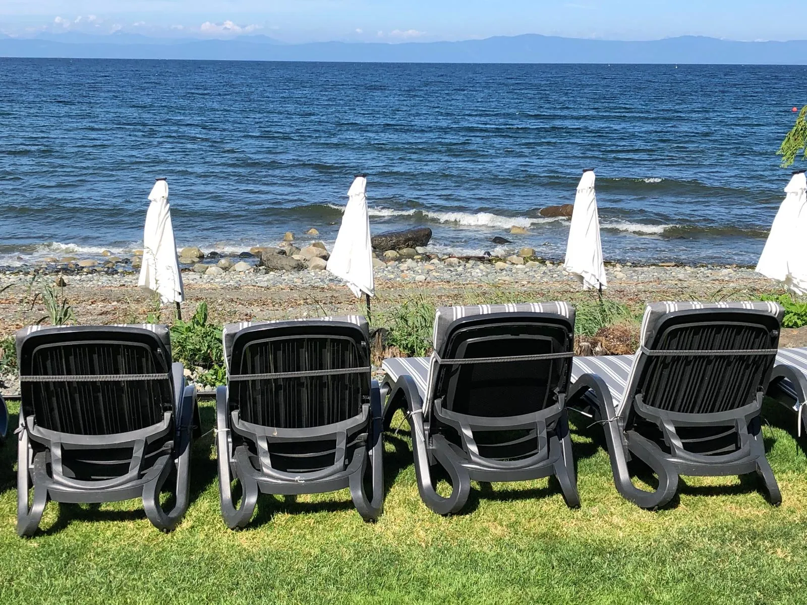 Four lounge chairs facing a calm ocean with white umbrellas nearby.